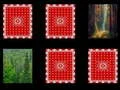 Lojë Memorja e Pyllit në internet