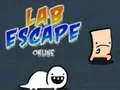 Lojë Ikje nga Laboratori Online në internet
