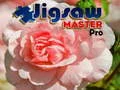 Lojë Mjeshtri i Puzzles Pro në internet