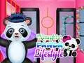 Lojë Stili i Jetës Panda Nâshum në internet