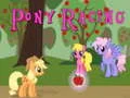 Lojë Garë Poni në internet Lojë Garë Poni në internet