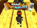 Lojë Ninja Nano në internet