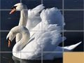 Lojë Puzzle i Zvarëve në internet Lojë Puzzle i Zvarëve në internet