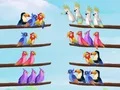 Lojë Puzzle e renditjes së zogjve në internet Lojë Puzzle e renditjes së zogjve në internet