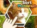 Lojë Rendit fotografitë në internet