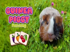 Lojë Guinea Piggy Matching në internet