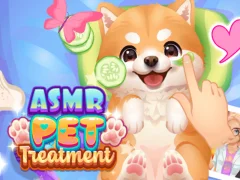 Lojë Trajtimi i Pet ASMR në internet