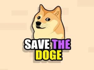 Lojë Ruani Doge në internet
