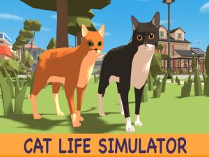 Lojë Simulator i jetës së maceve në internet