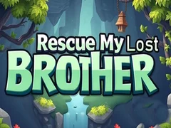 Lojë Shpëto vëllanë tim të humbur në internet