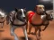 Lojë Garat e Greyhound në internet