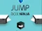 Lojë Ninja Kutinë Kërcim në internet