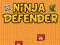 Lojë Mbrojtësi Ninja në internet