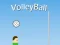 Lojë Volejboll në internet