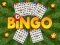 Lojë Bingo në internet