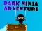 Lojë Avantura e Errësirë Ninja në internet