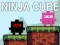 Lojë Kubi Ninja në internet