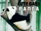 Lojë Panda i vogël i bukur në internet