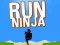 Lojë Vrapo Ninja në internet