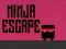 Lojë Shpëtimi Ninja në internet