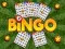 Lojë Bingo Zbuluar në internet