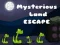 Lojë Ikje Mysterioze në internet