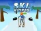 Lojë Ski Rush 3D në internet