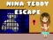 Lojë Shpëtimi i Nina Teddy në internet