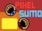 Lojë Suma Pixel në internet