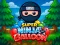 Lojë Super Ninja Balloon në internet