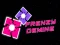 Lojë Shkatërrim në internet Lojë Shkatërrim në internet