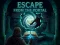 Lojë Escape from the Portal në internet