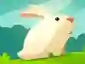 Lojë Kuni Gizmo në internet Lojë Kuni Gizmo në internet