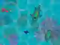 Lojë Sharkz.io në internet
