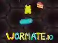 Lojë Wormate.io në internet