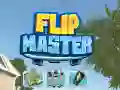 Lojë Mjeshtër Flip në internet Lojë Mjeshtër Flip në internet