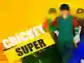 Lojë Kricket Super në internet Lojë Kricket Super në internet