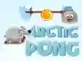 Lojë Pong Arktik në internet
