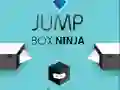Lojë Ninja Kutinë Kërcim në internet Lojë Ninja Kutinë Kërcim në internet