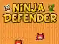 Lojë Mbrojtësi Ninja në internet Lojë Mbrojtësi Ninja në internet