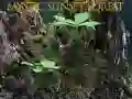 Lojë Pyll i mistershëm në perëndim në internet