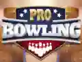 Lojë Bowling Profesional në internet