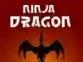 Lojë Dragua Ninja në internet Lojë Dragua Ninja në internet