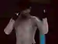 Lojë MFS: Luftëtar MMA në internet Lojë MFS: Luftëtar MMA në internet