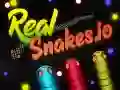 Lojë Gjarpërinj Realë.io në internet Lojë Gjarpërinj Realë.io në internet
