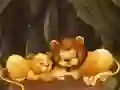 Lojë Puzzle të argëtueshëm me kafshët e kopshtit zoologjik në internet Lojë Puzzle të argëtueshëm me kafshët e kopshtit zoologjik në internet