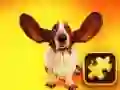 Lojë Puzzle Qesharake Me Qen në internet Lojë Puzzle Qesharake Me Qen në internet