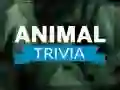 Lojë Trivia për Kafshët në internet Lojë Trivia për Kafshët në internet