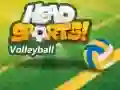Lojë Volejboll nga Head Sports në internet Lojë Volejboll nga Head Sports në internet