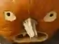 Lojë 5 në 1 Enigmë me Imazhe: Halloween në internet Lojë 5 në 1 Enigmë me Imazhe: Halloween në internet